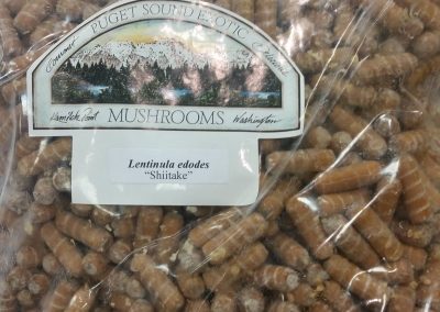 Fresh mushrooms you can grow right from your backyard
